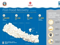 This infograph shows Post-Flood Recovery and non food items distributed.