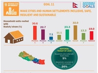 Infographic On SDG 11:  Make Cities And Human Settlements Inclusive, Safe, Resilient And Sustainable (SDG 11)
