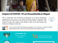 This picture shows the cover page of report on Impact of COVID-19 on Households in Nepal