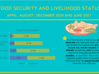 NEPAL COVID Food Security Report Infographics, July 2021