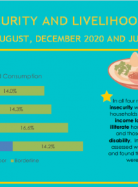 NEPAL COVID Food Security Report Infographics, July 2021