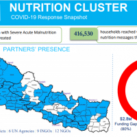This image has nutrition cluster partners presence map, funding requirements
